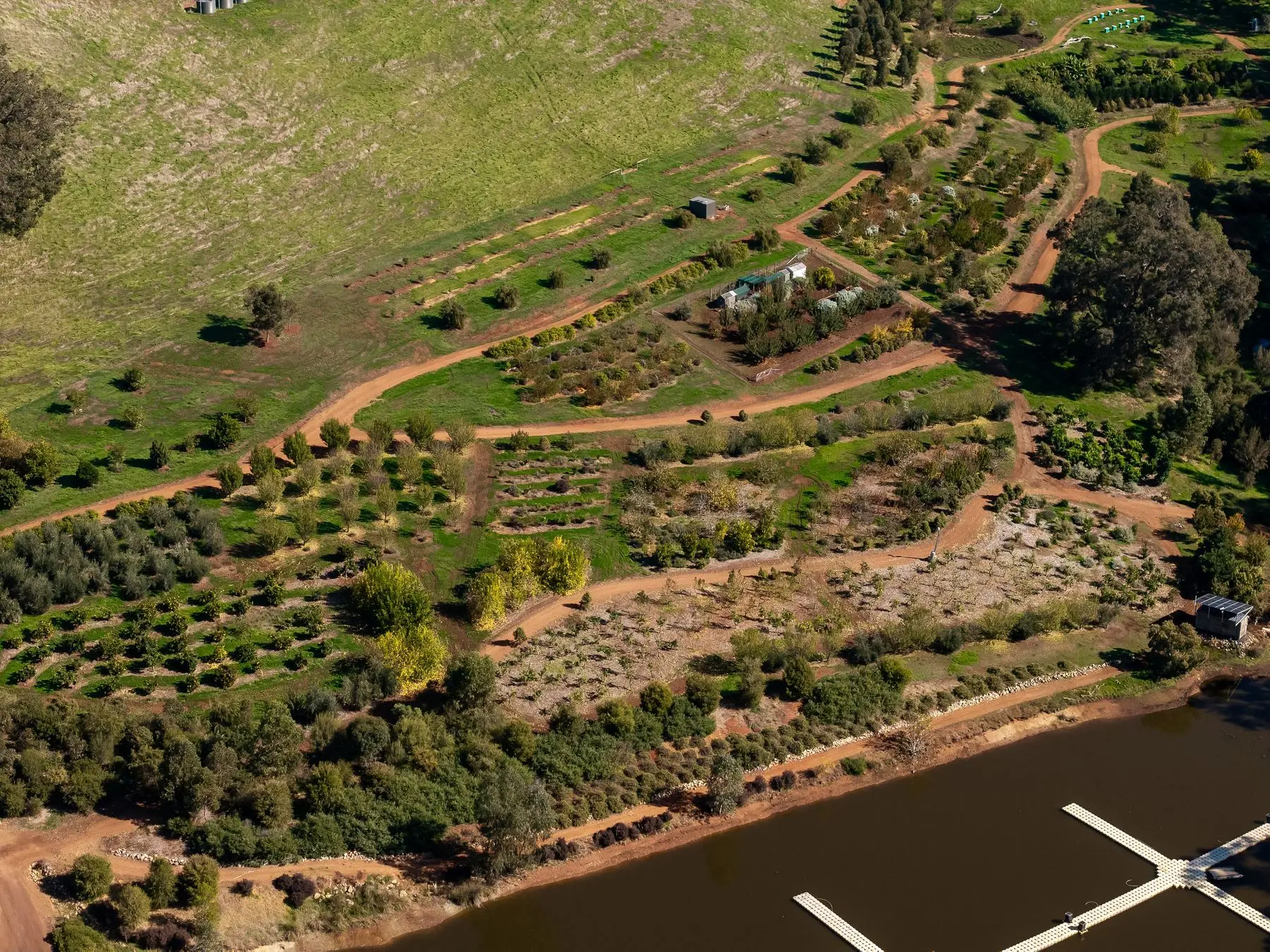 Aerial view of food forest and free-range chicken system, Bangadang Farm, Donnybrook WA